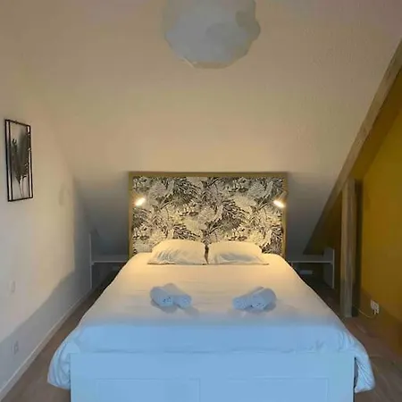 Apartment T2 Duplex En Hyper Centre *