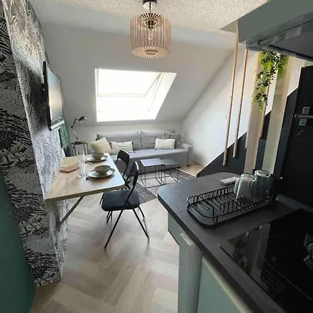 T2 Duplex En Hyper Centre Apartment *